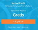 1-kartu kredit