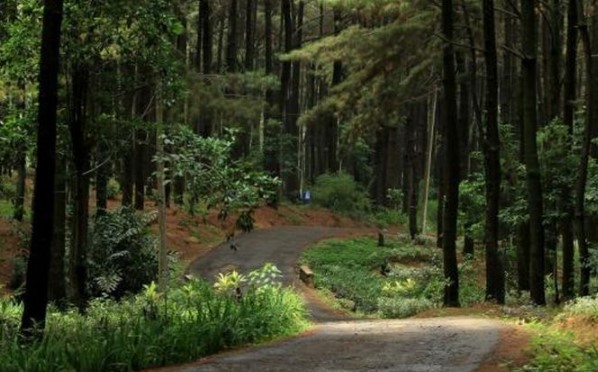 Taman Wisata Gunung Pancar